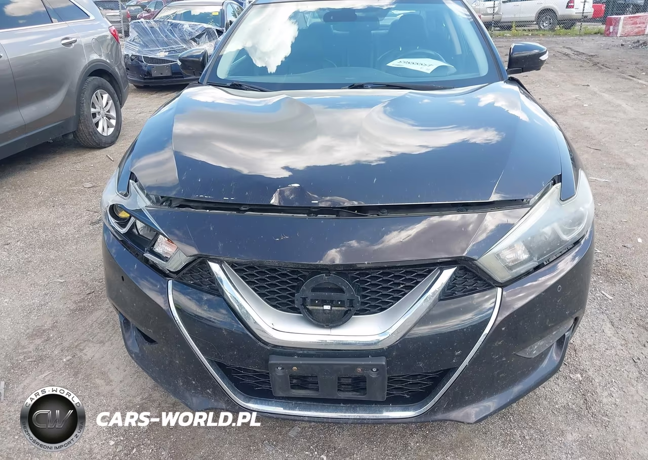 2016 Nissan Maxima 3.5 Platinum VIN:1N4AA6AP5GC381164 - 12