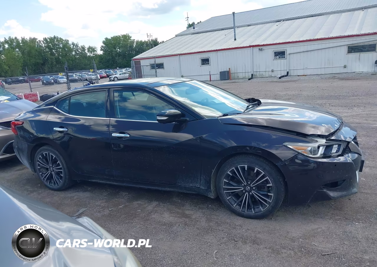 2016 Nissan Maxima 3.5 Platinum VIN:1N4AA6AP5GC381164 - 13