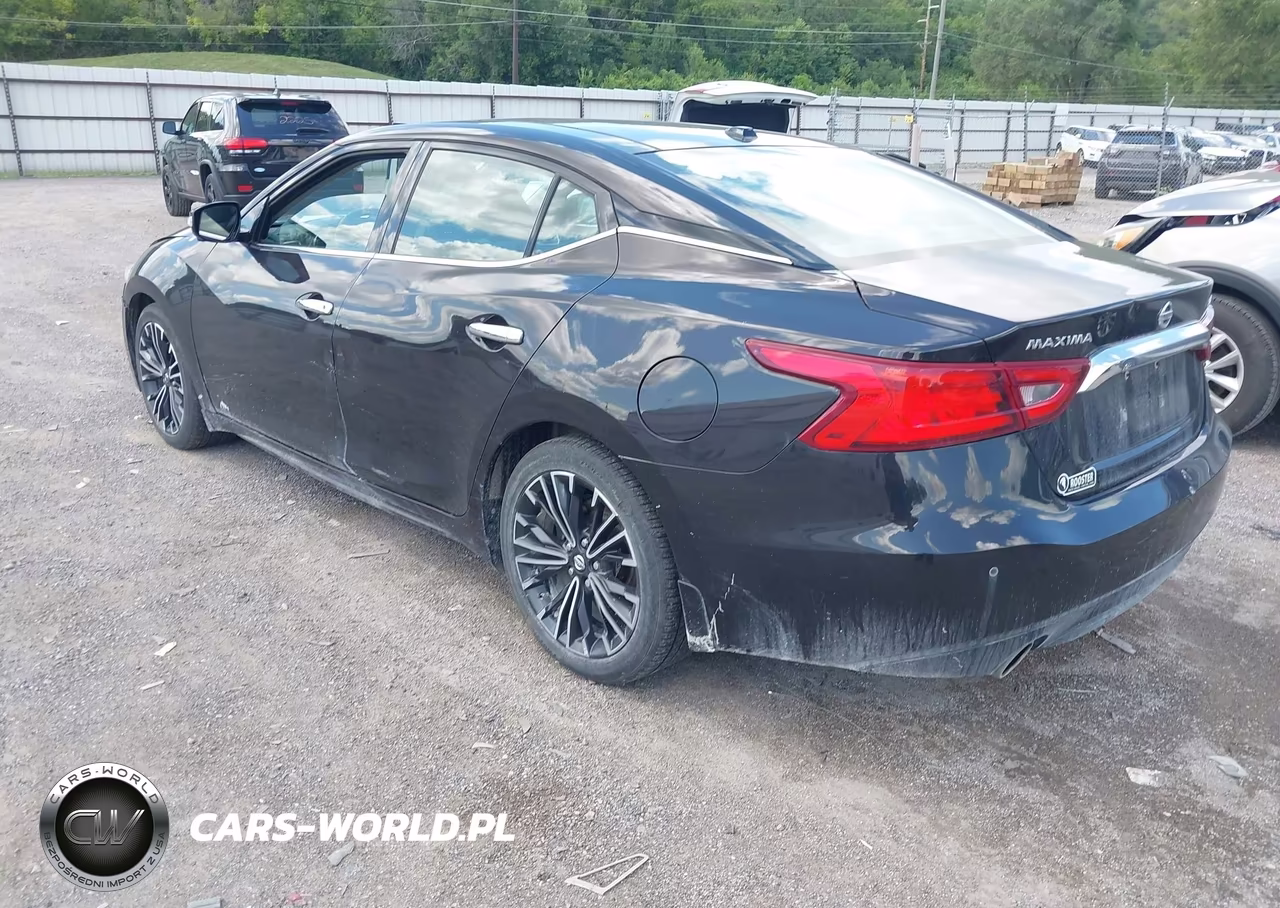 2016 Nissan Maxima 3.5 Platinum VIN:1N4AA6AP5GC381164 - 3