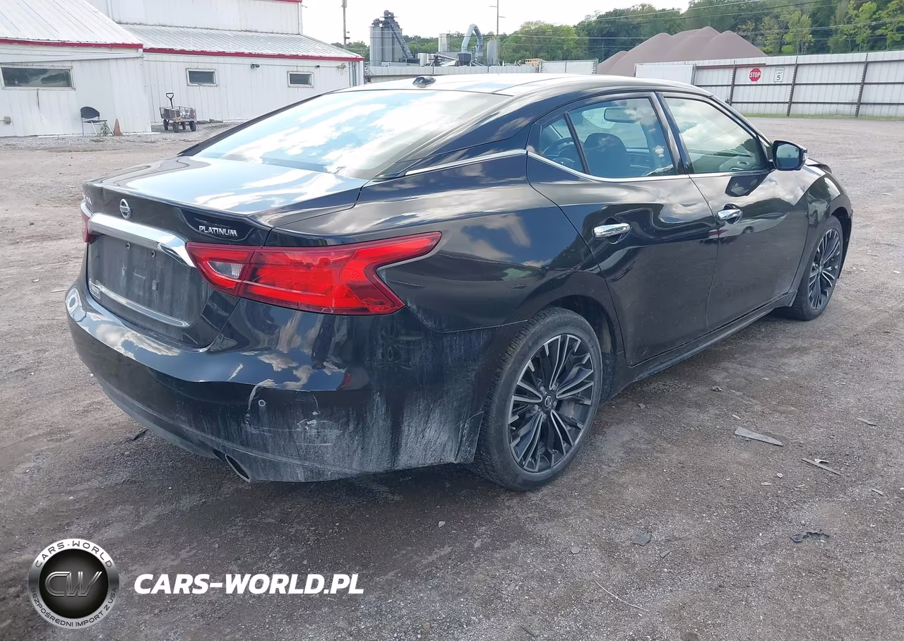 2016 Nissan Maxima 3.5 Platinum VIN:1N4AA6AP5GC381164 - 4