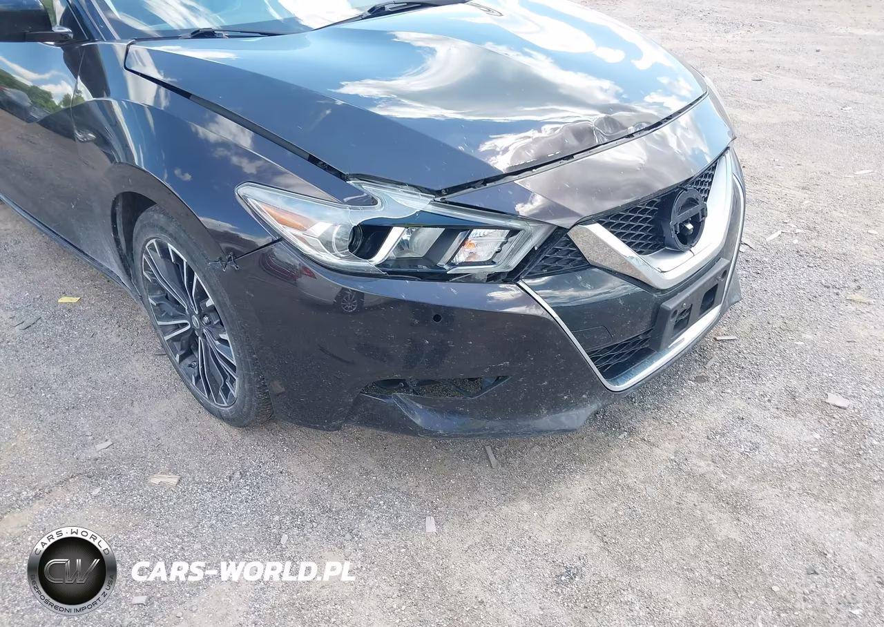 2016 Nissan Maxima 3.5 Platinum VIN:1N4AA6AP5GC381164 - 6