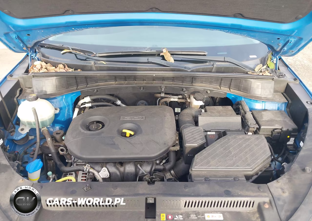 2017 Hyundai Tucson Se VIN:KM8J3CA47HU350353 - 10