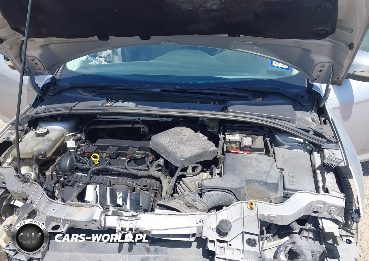 2013 Ford Focus Se VIN:1FADP3K20DL106925 - 10