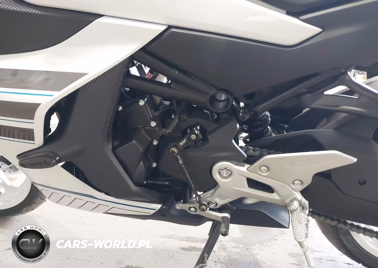 2026 Cfmoto Ss 450 VIN:LCEPESLP2T6002547 - 9