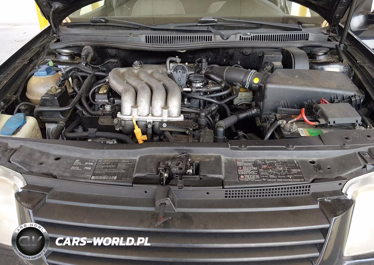 2002 Volkswagen Jetta Gl VIN:3VWRB69M52M104264 - 10
