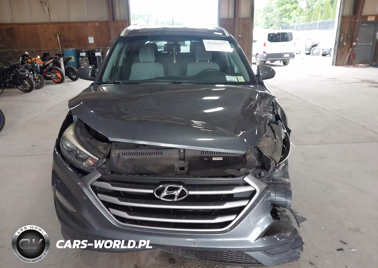 2017 Hyundai Tucson Se VIN:KM8J3CA44HU445937 - 12