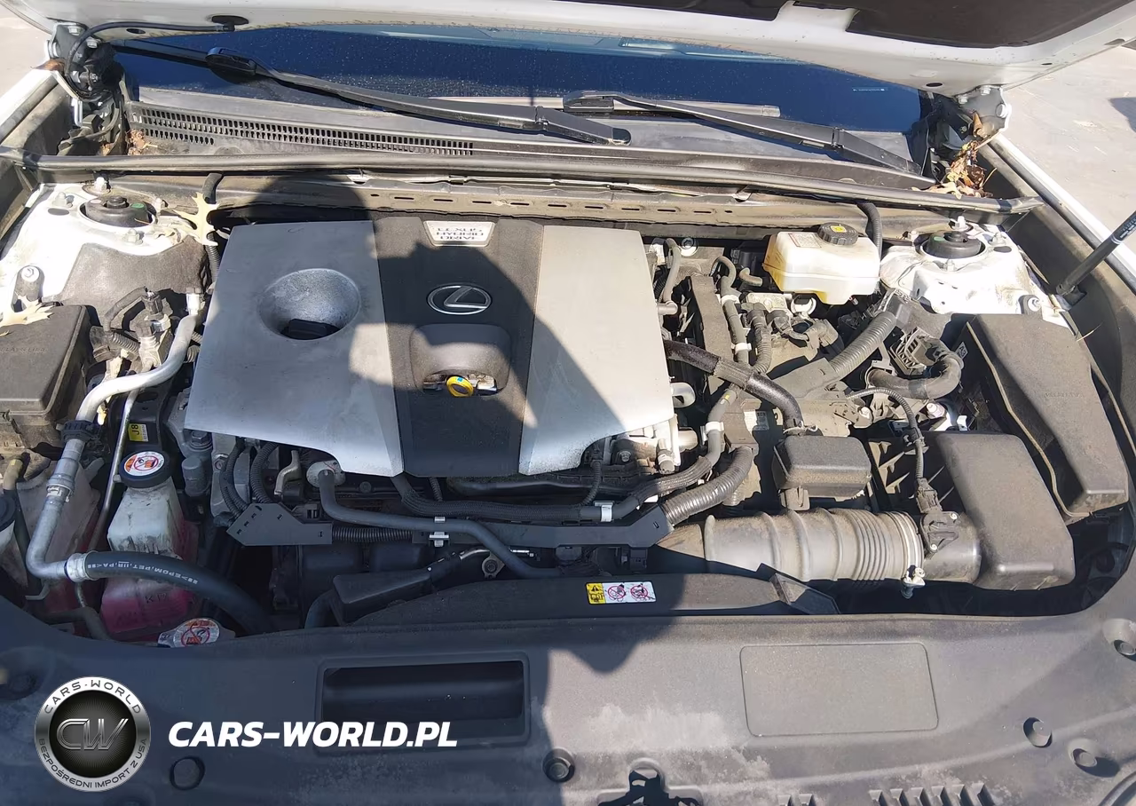 2019 Lexus Es 300H VIN:JTHB21B16K2031502 - 10