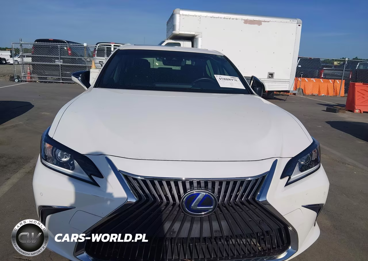 2019 Lexus Es 300H VIN:JTHB21B16K2031502 - 13