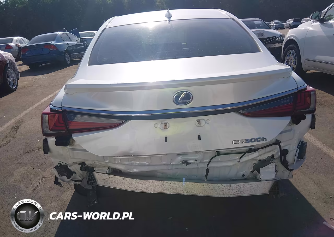 2019 Lexus Es 300H VIN:JTHB21B16K2031502 - 17