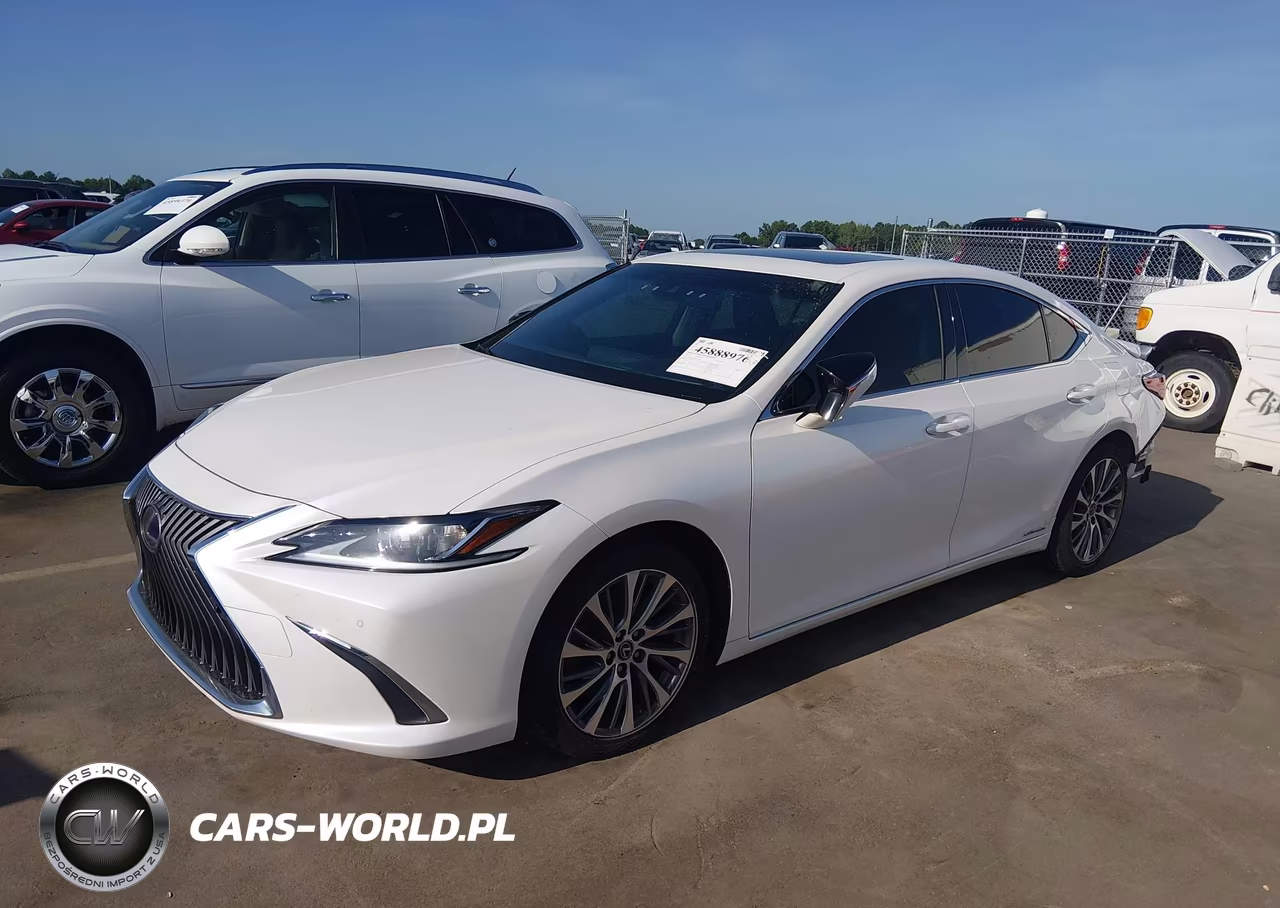 2019 Lexus Es 300H VIN:JTHB21B16K2031502 - 2
