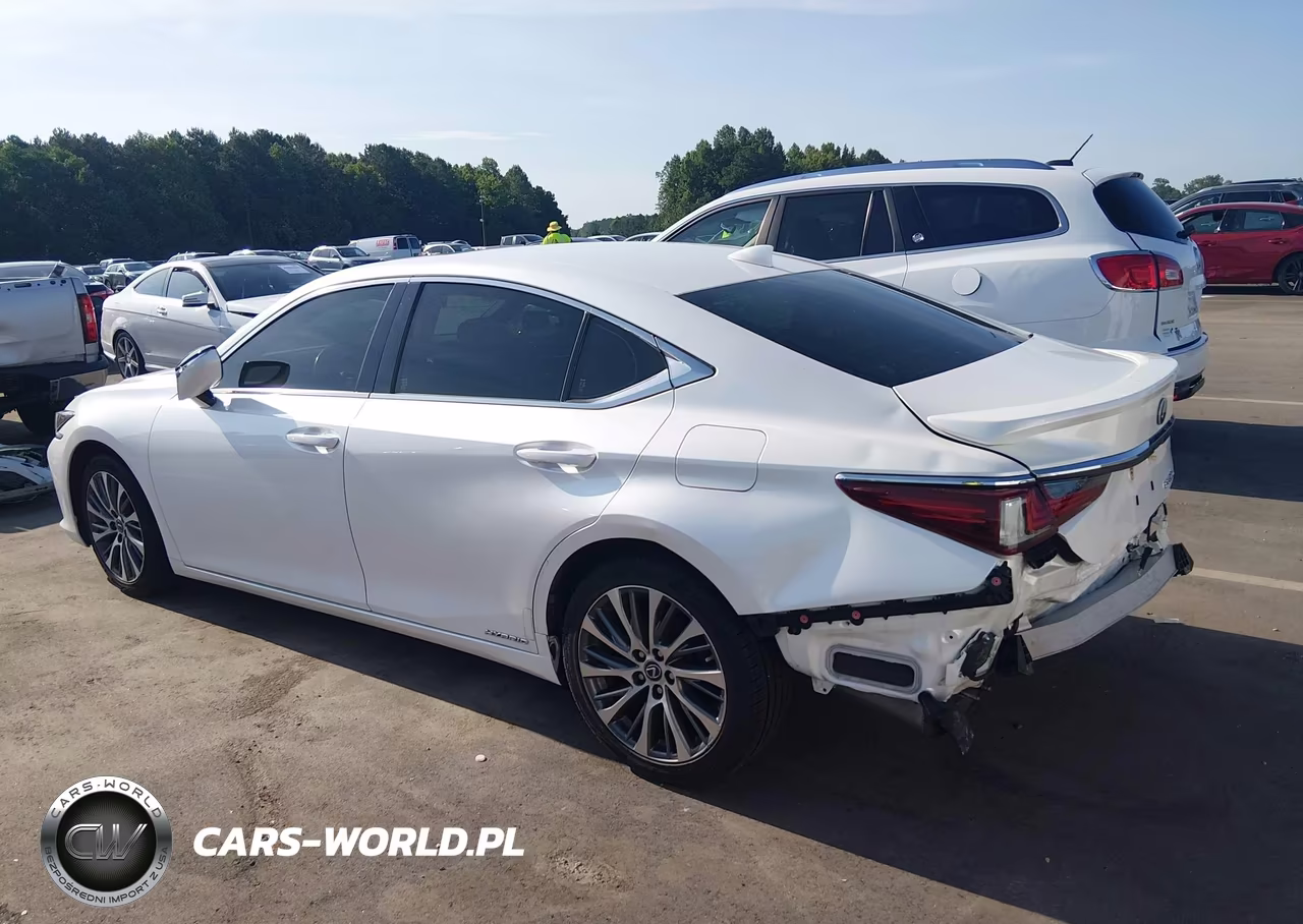 2019 Lexus Es 300H VIN:JTHB21B16K2031502 - 3