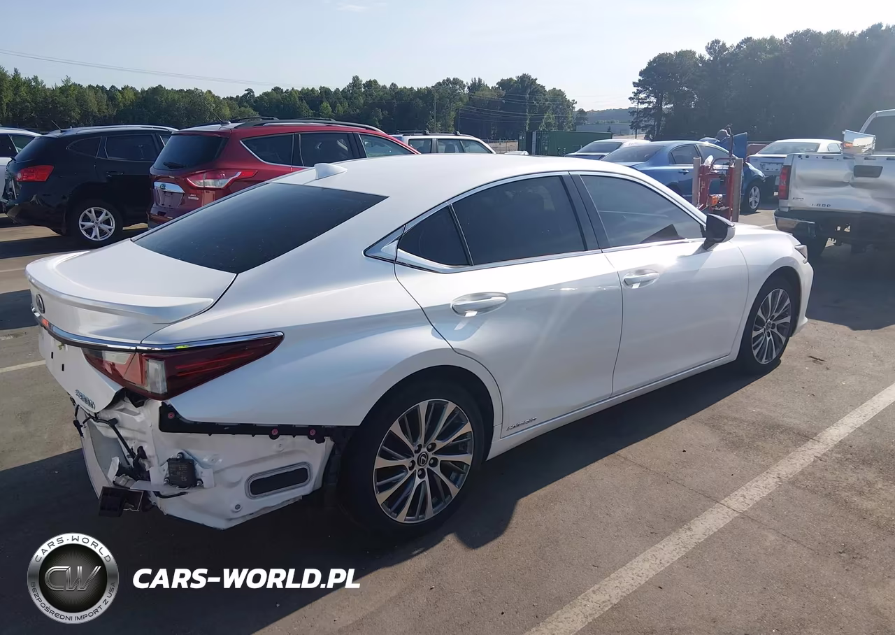 2019 Lexus Es 300H VIN:JTHB21B16K2031502 - 4