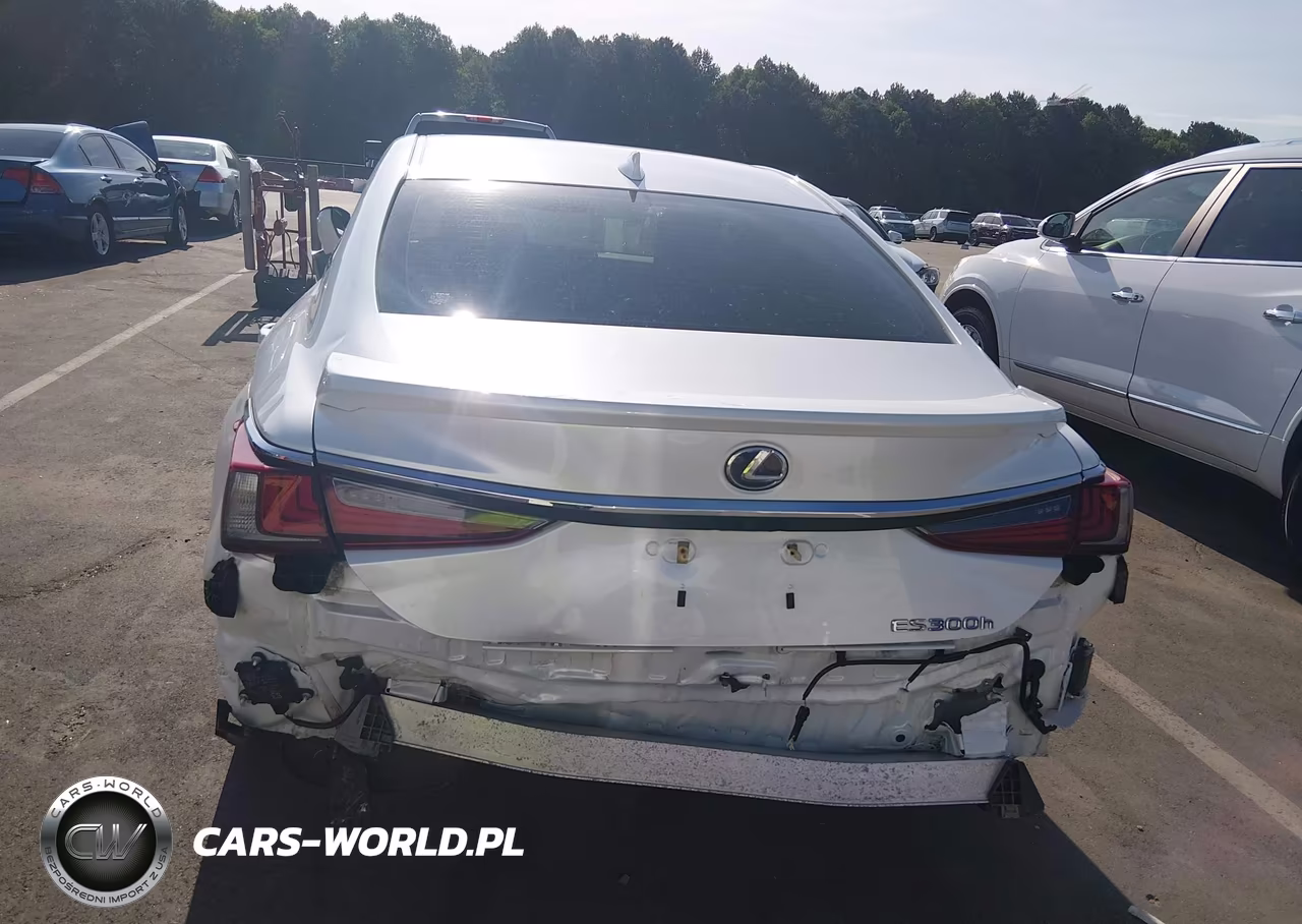 2019 Lexus Es 300H VIN:JTHB21B16K2031502 - 6
