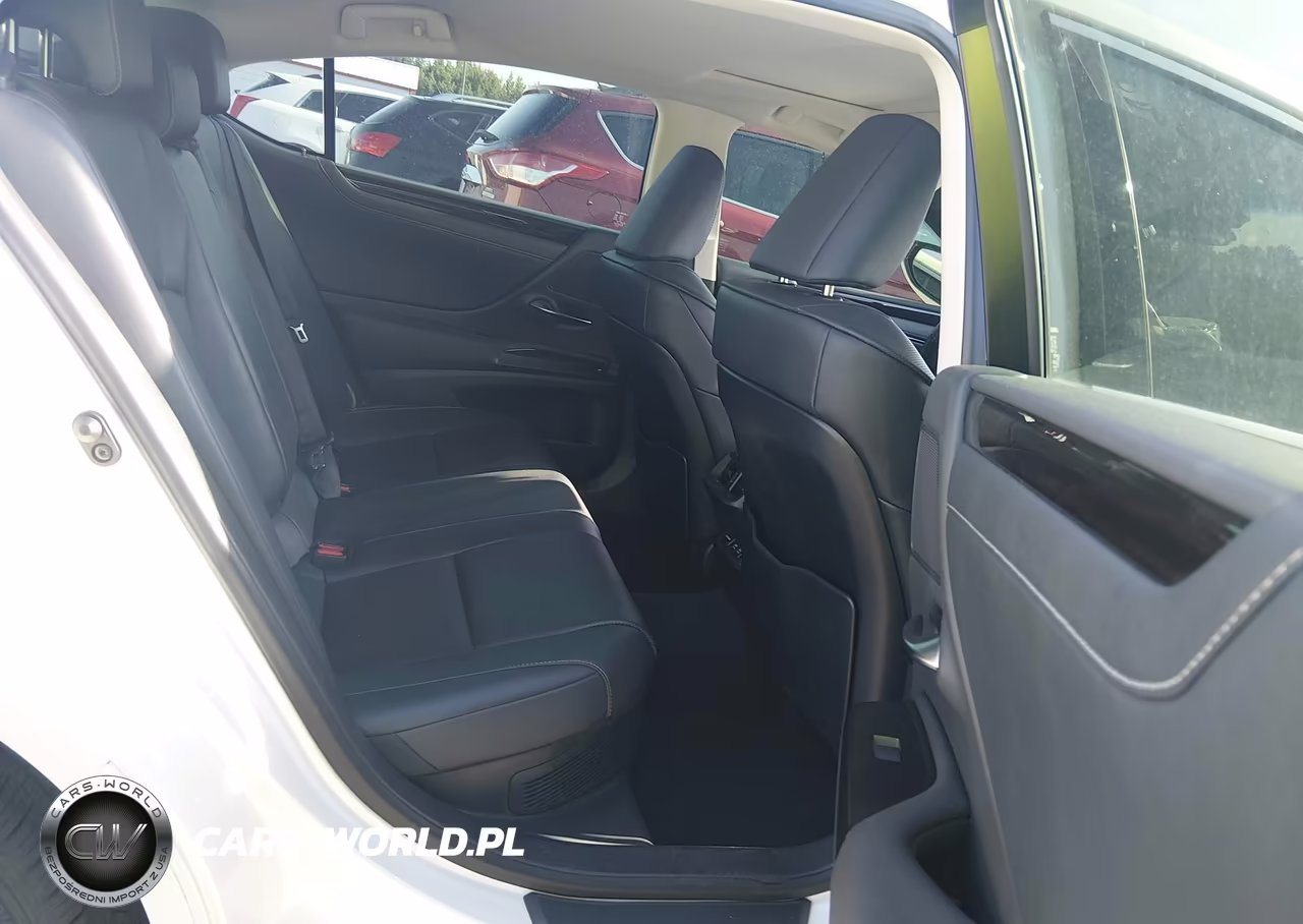 2019 Lexus Es 300H VIN:JTHB21B16K2031502 - 8