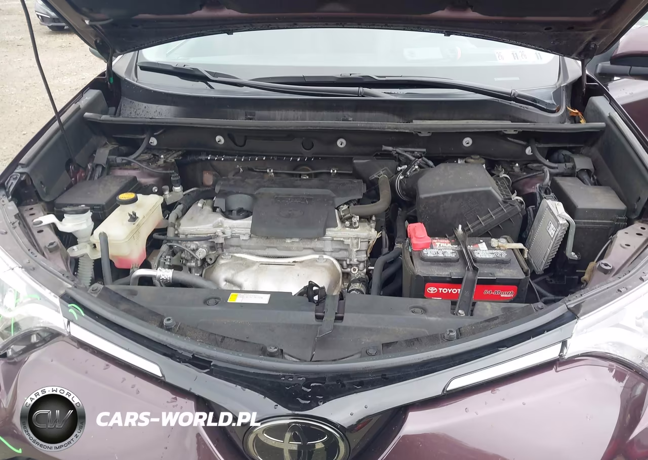 2016 Toyota Rav4 Limited VIN:2T3DFREVXGW533908 - 10