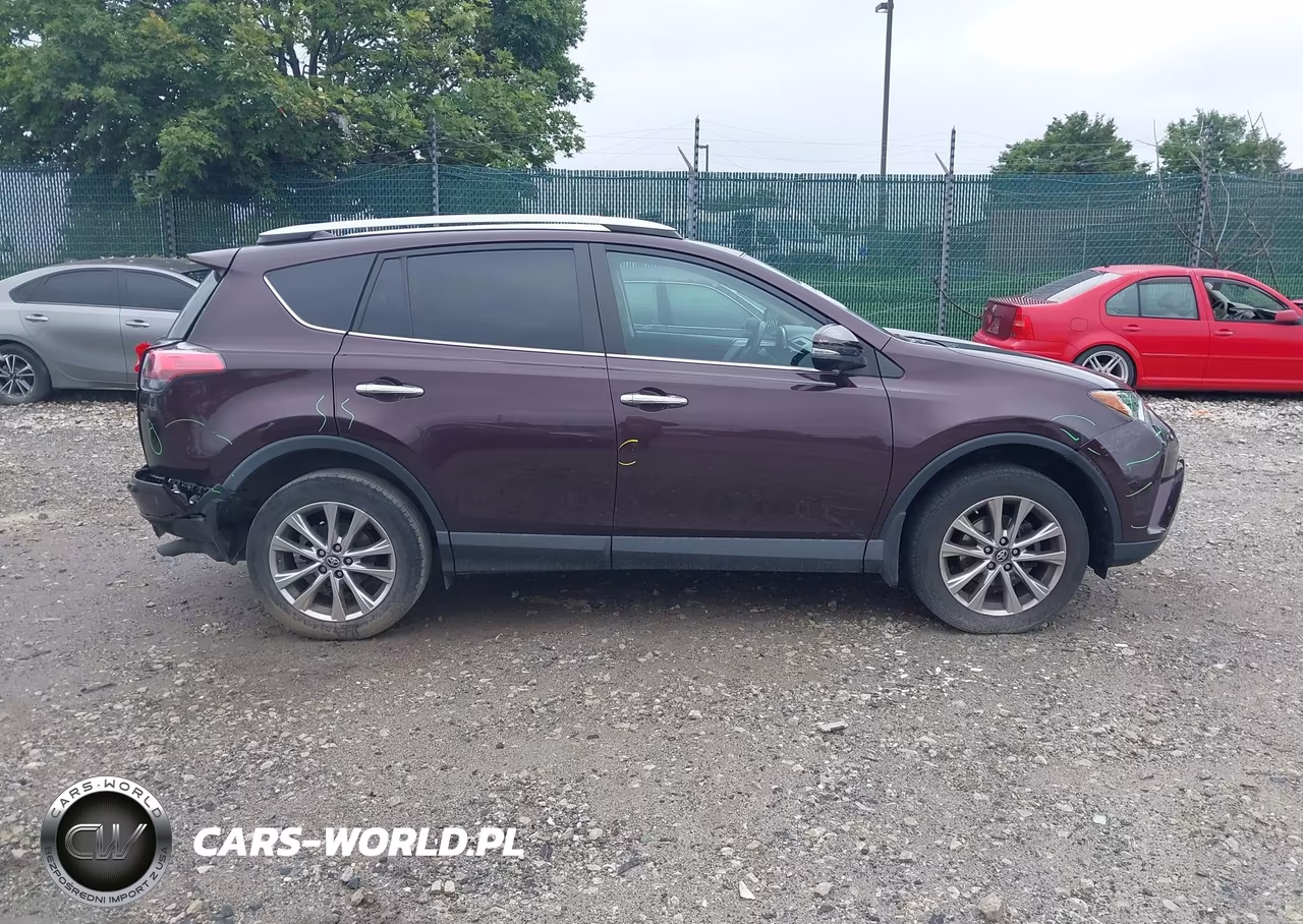 2016 Toyota Rav4 Limited VIN:2T3DFREVXGW533908 - 13
