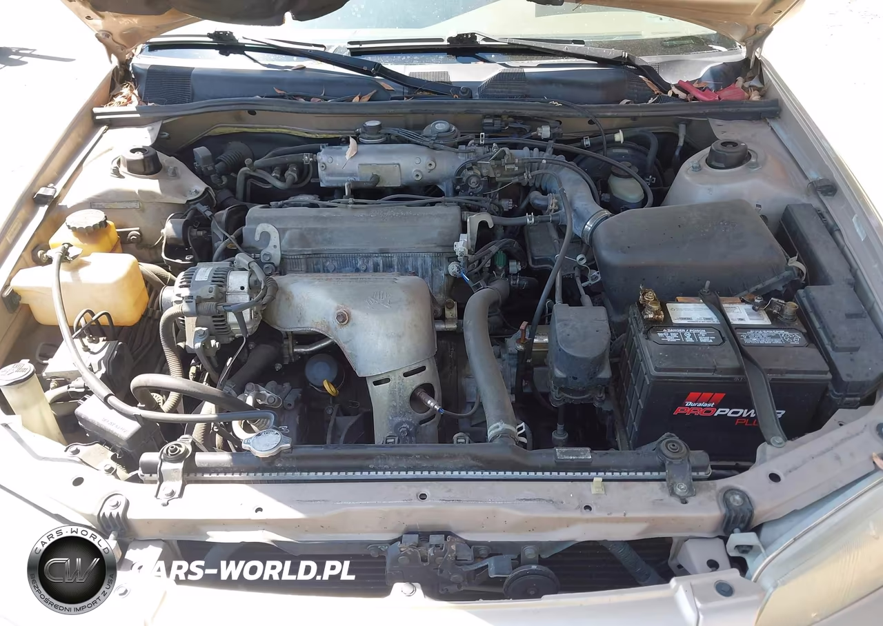 1997 Toyota Camry Le VIN:JT2BG22K2V0100101 - 10