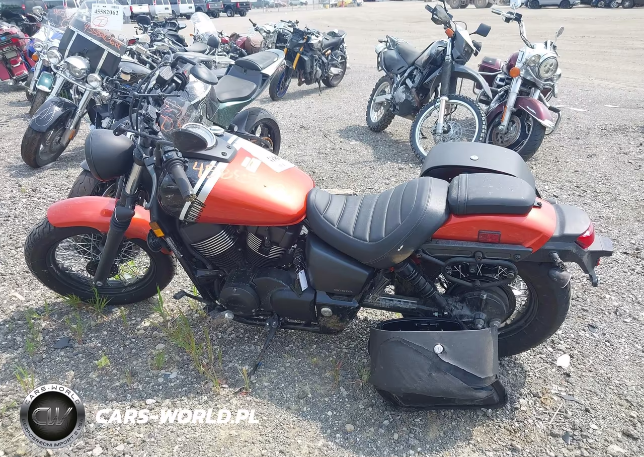 2024 Honda Vt750 C2B VIN:JH2RC5373RK400518 - 13