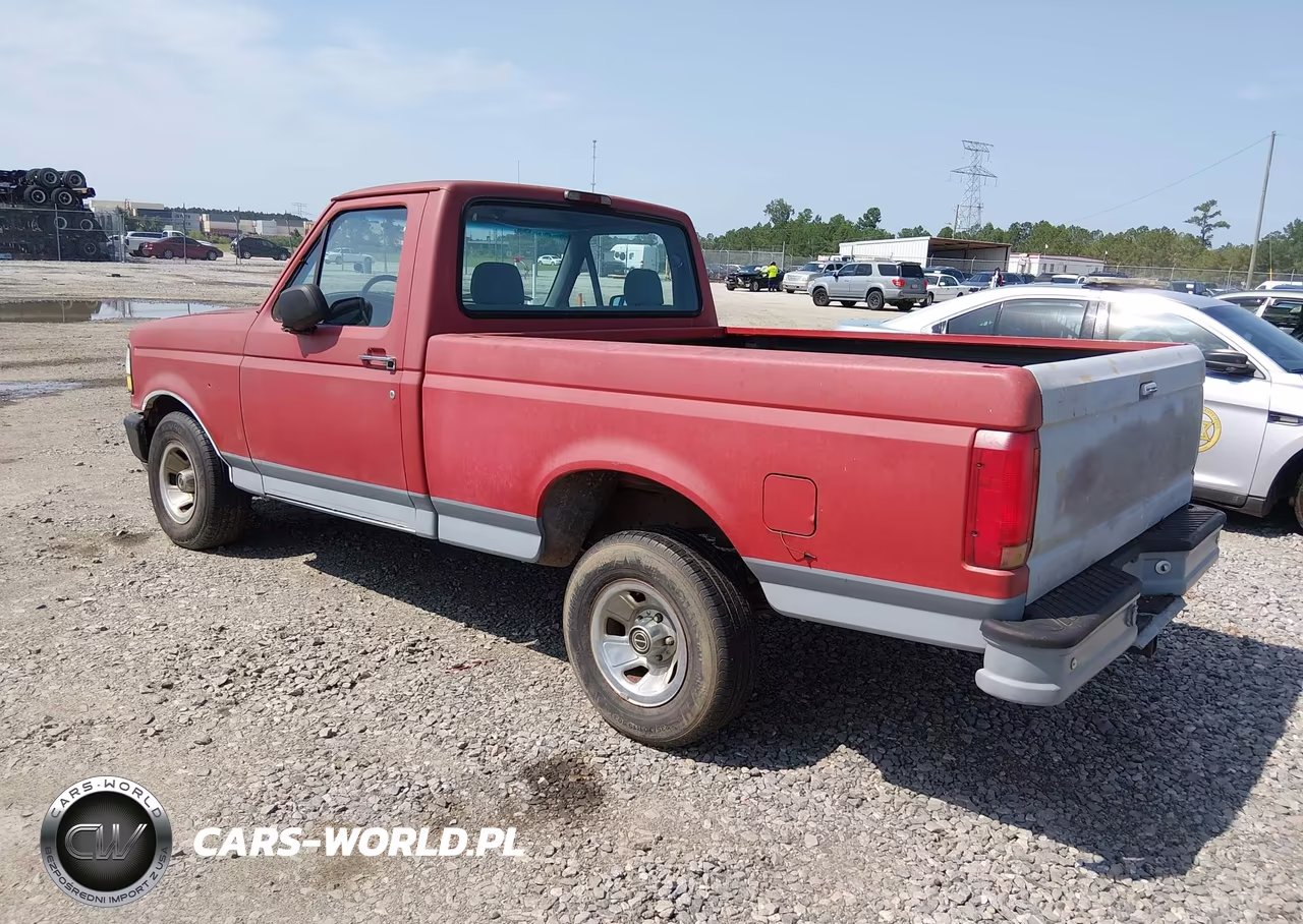 1995 Ford F150 VIN:1FTDF15Y1SLB18807 - 3