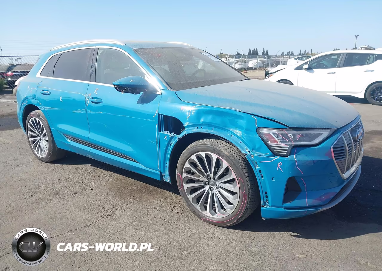 2019 Audi E-Tron Premium Plus VIN:WA1VABGE0KB013140 - 1