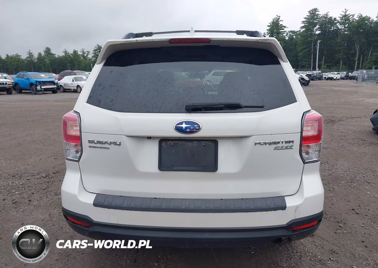 2018 Subaru Forester 2.5I Premium VIN:JF2SJAGC8JH410576 - 17