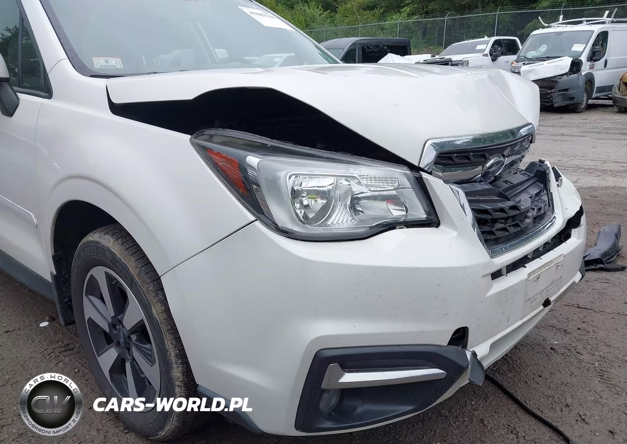2018 Subaru Forester 2.5I Premium VIN:JF2SJAGC8JH410576 - 19
