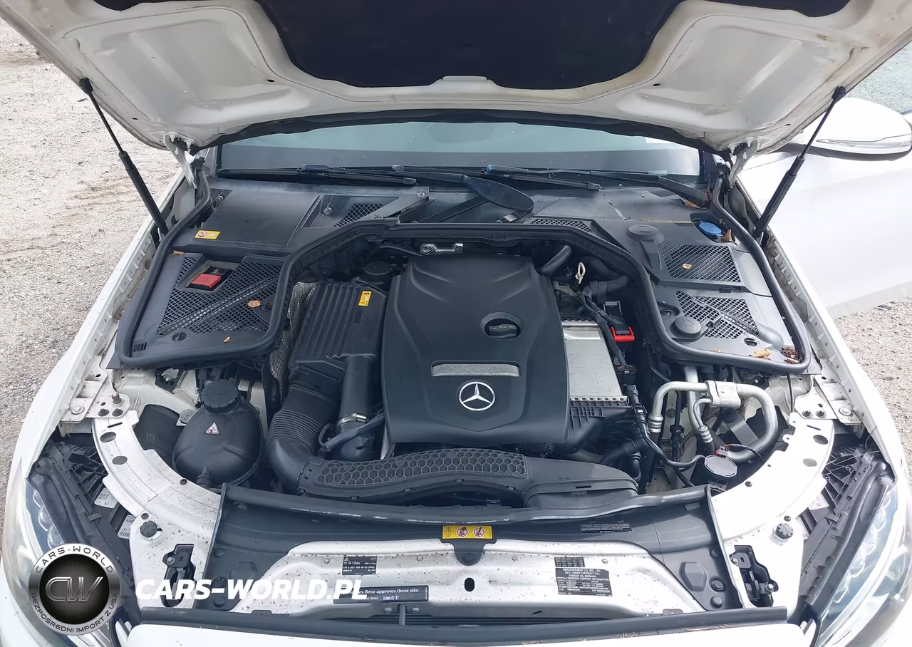2015 Mercedes-Benz C 300 4Matic VIN:55SWF4KB6FU003427 - 10