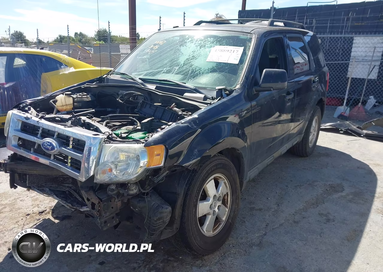 2011 Ford Escape Xlt VIN:1FMCU0D79BKB98492 - 2