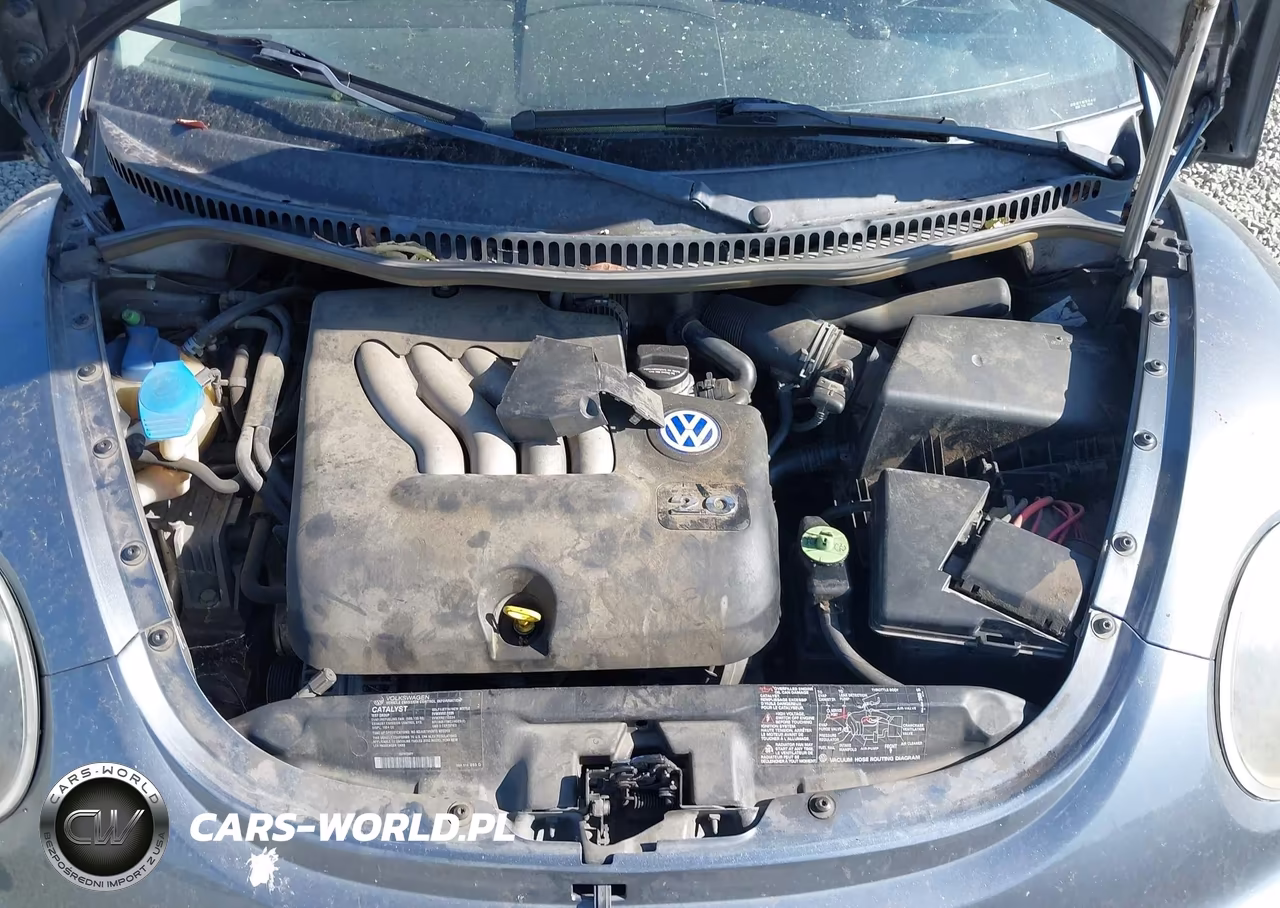 2002 Volkswagen New Beetle Gls VIN:3VWCB21C62M445920 - 10