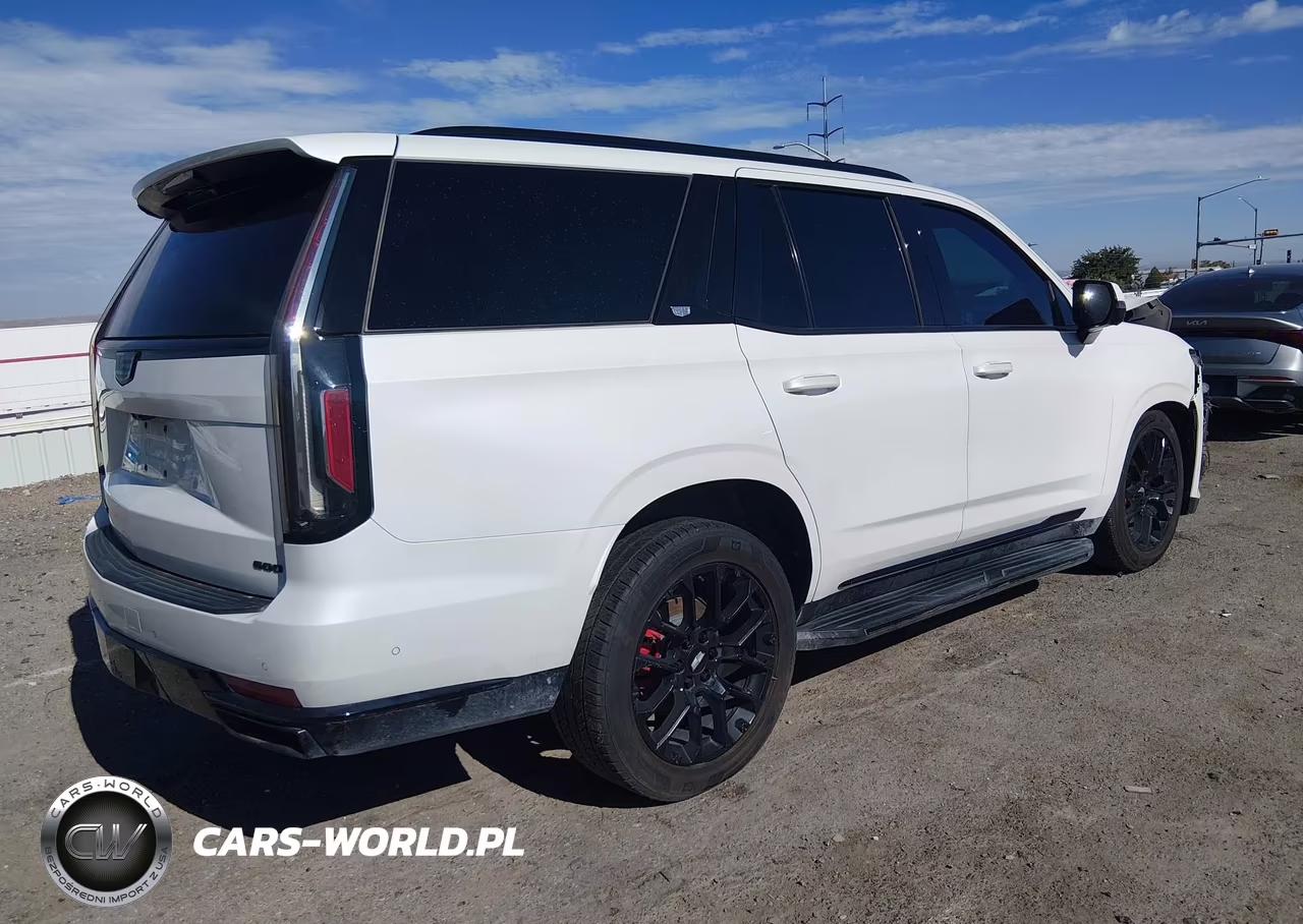 2021 Cadillac Escalade 4Wd Sport Platinum VIN:1GYS4GKL9MR458760 - 4