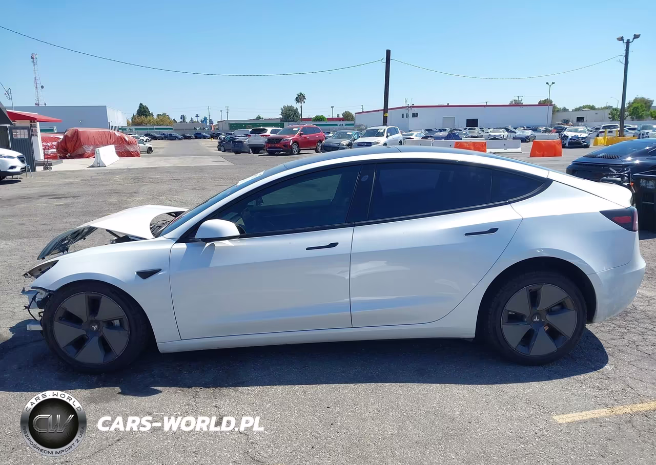 2021 Tesla Model 3 Standard Range Plus Rear-Wheel Drive VIN:5YJ3E1EA9MF030238 - 15