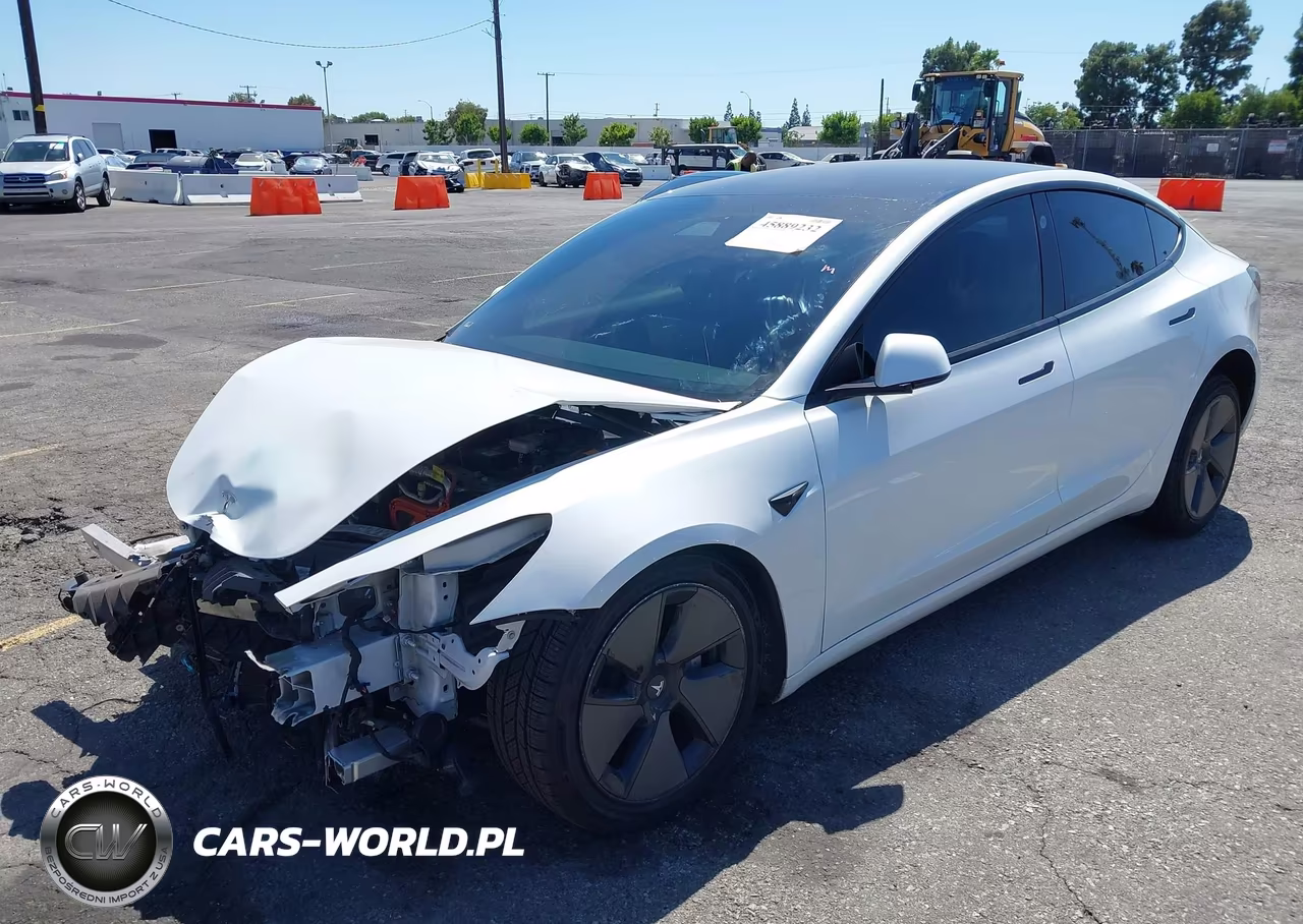 2021 Tesla Model 3 Standard Range Plus Rear-Wheel Drive VIN:5YJ3E1EA9MF030238 - 2