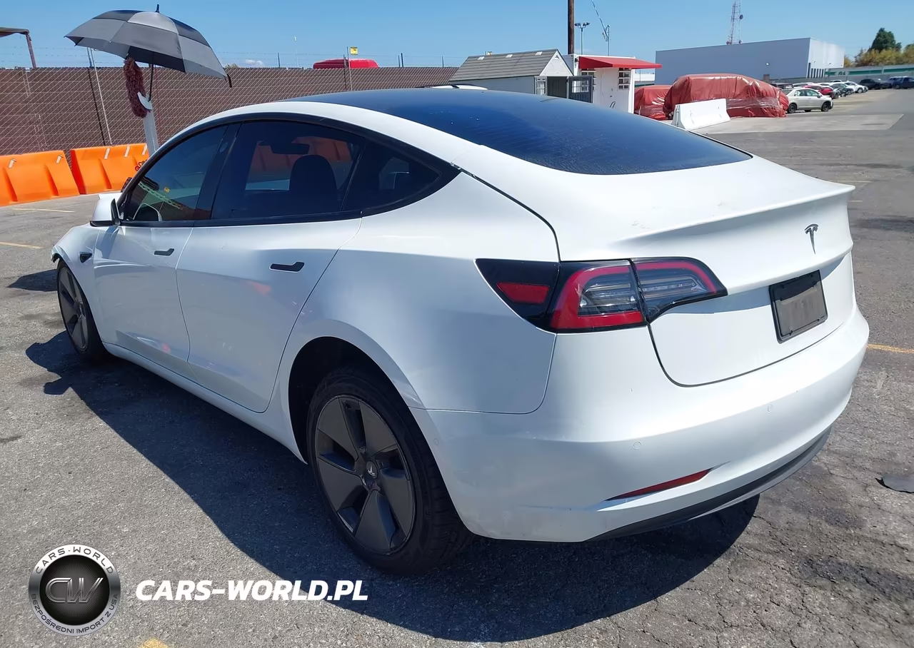 2021 Tesla Model 3 Standard Range Plus Rear-Wheel Drive VIN:5YJ3E1EA9MF030238 - 3