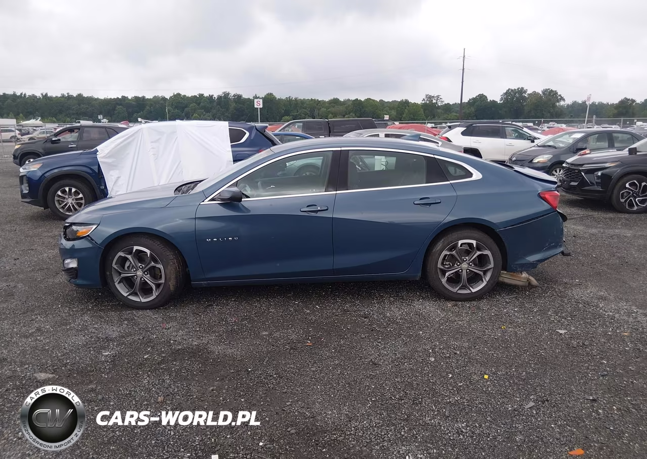 2024 Chevrolet Malibu Fwd 1Lt VIN:1G1ZD5ST2RF206035 - 14