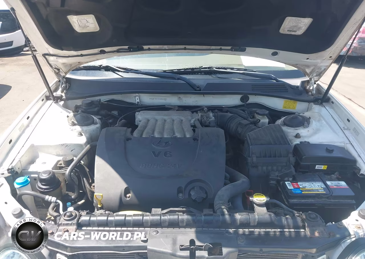 2003 Hyundai Sonata Gls-Lx VIN:KMHWF35H33A896202 - 10