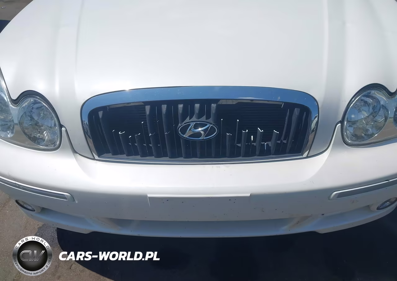2003 Hyundai Sonata Gls-Lx VIN:KMHWF35H33A896202 - 17