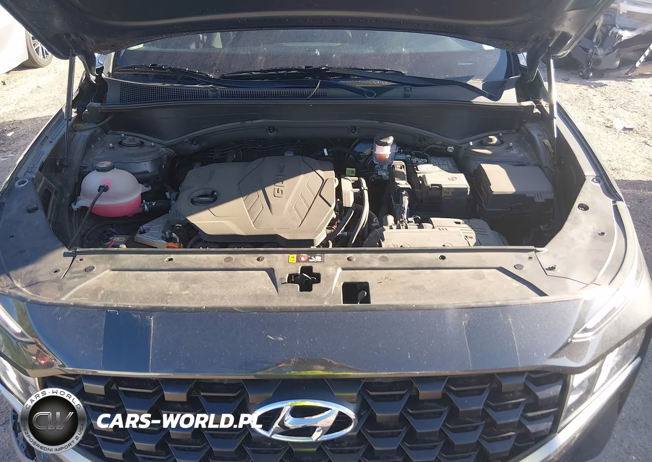 2023 Hyundai Santa Fe Sel VIN:5NMS24AJ5PH545879 - 10