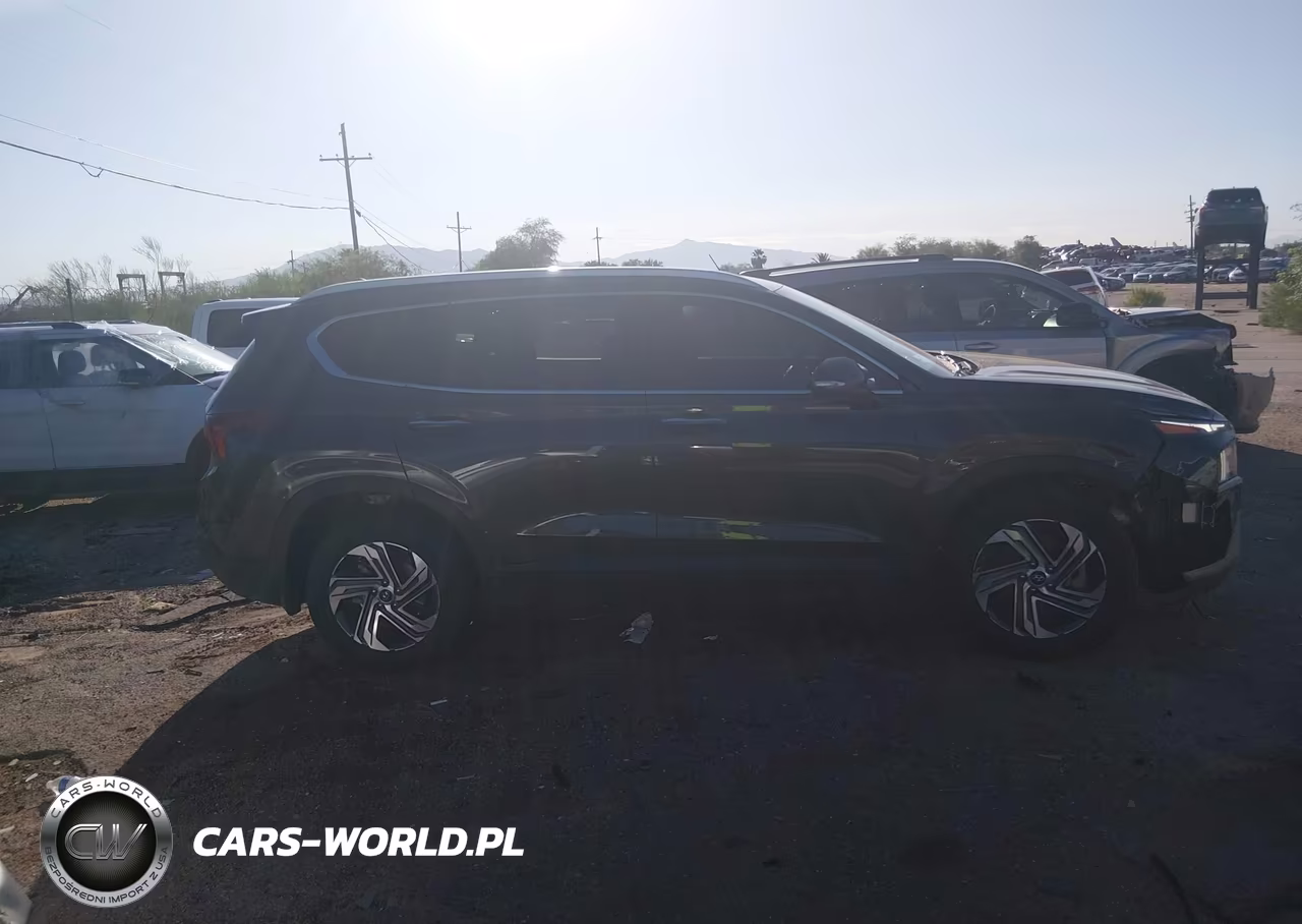 2023 Hyundai Santa Fe Sel VIN:5NMS24AJ5PH545879 - 13