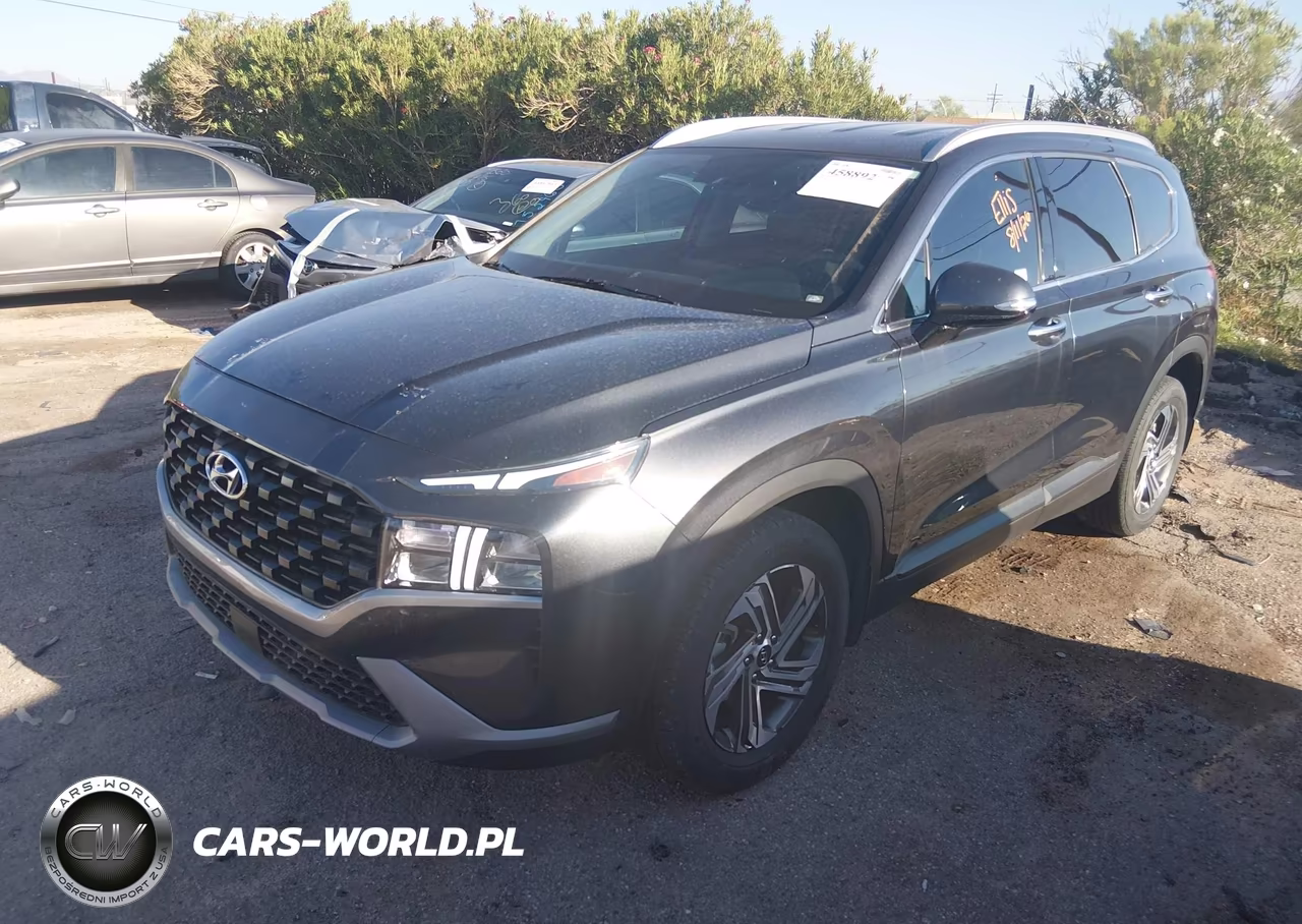 2023 Hyundai Santa Fe Sel VIN:5NMS24AJ5PH545879 - 2