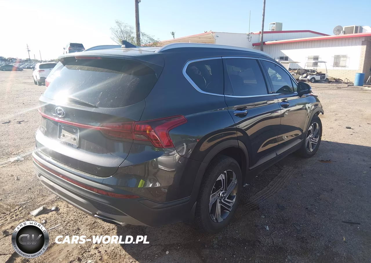 2023 Hyundai Santa Fe Sel VIN:5NMS24AJ5PH545879 - 4
