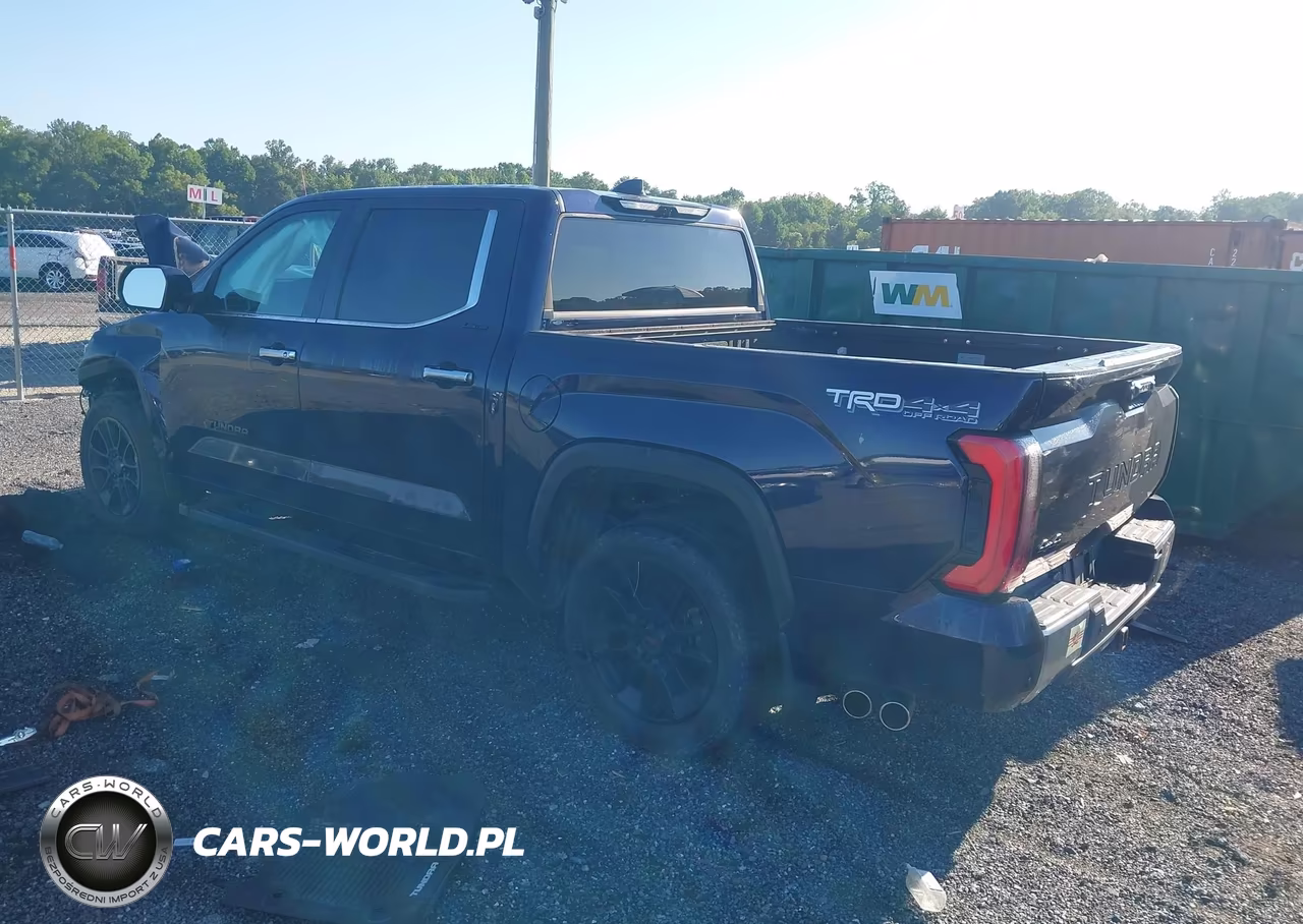 2022 Toyota Tundra Hybrid Limited VIN:5TFJC5DBXNX006651 - 3