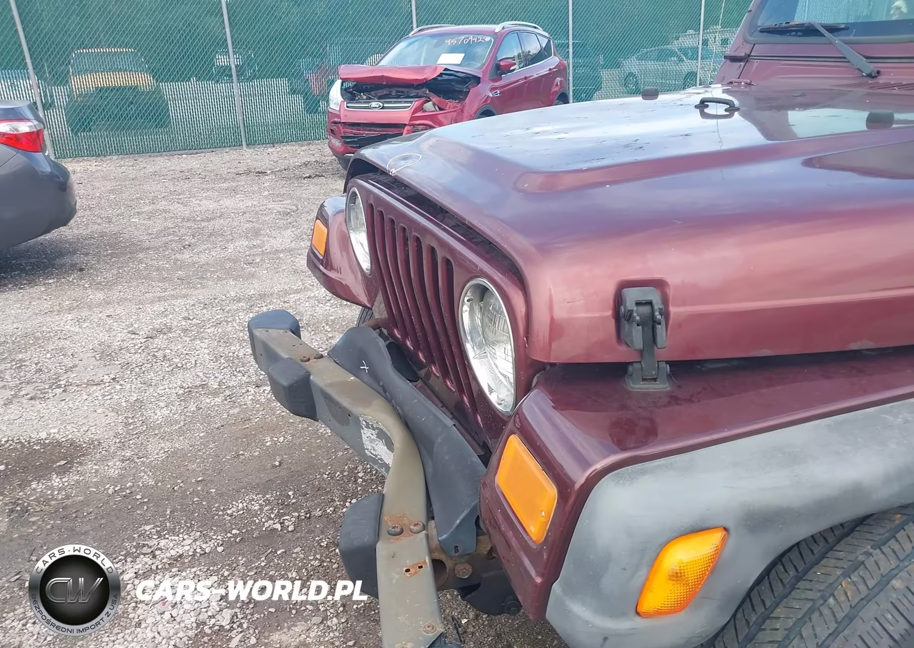2004 Jeep Wrangler X VIN:1J4FA39SX4P709636 - 16