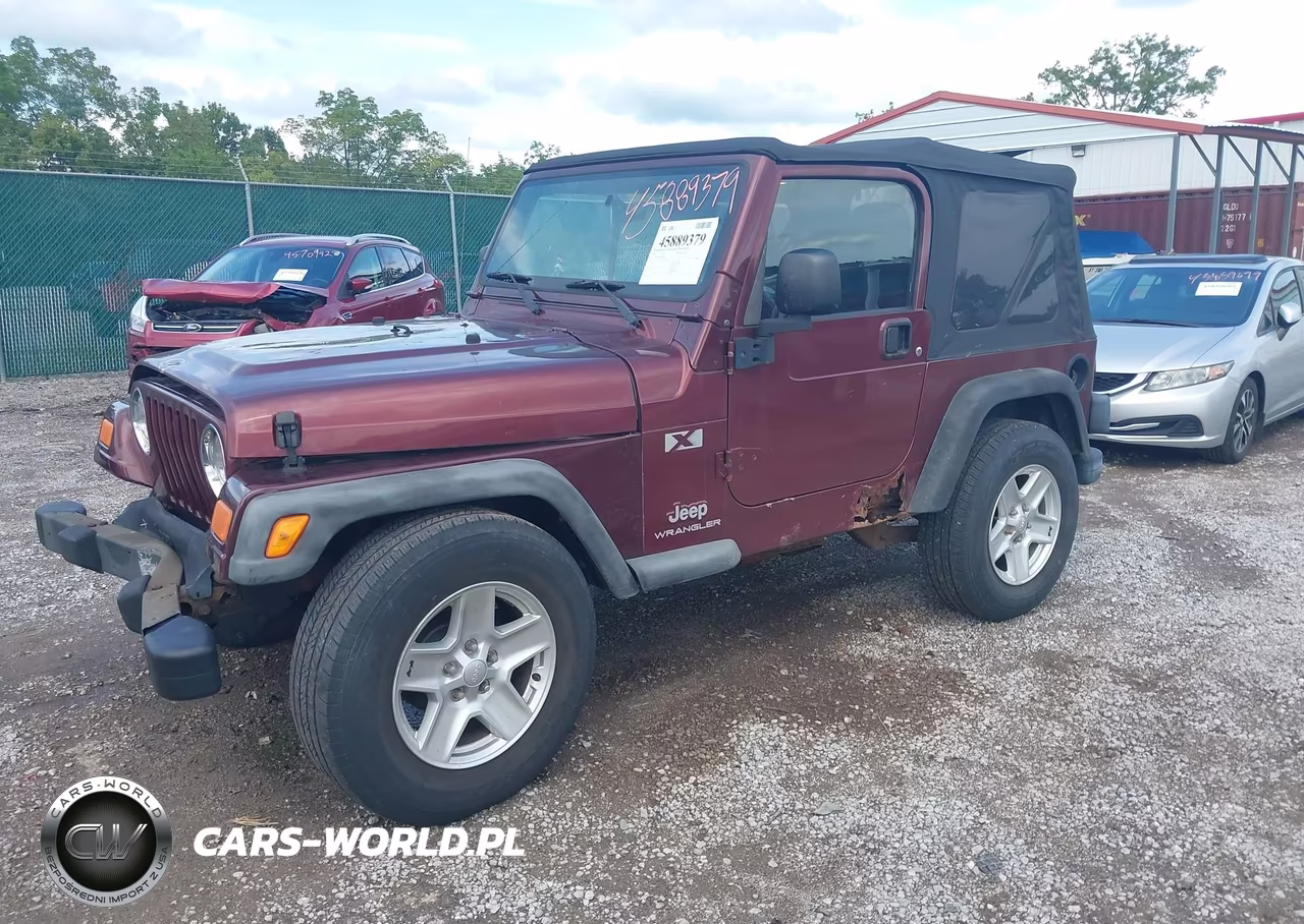 2004 Jeep Wrangler X VIN:1J4FA39SX4P709636 - 2