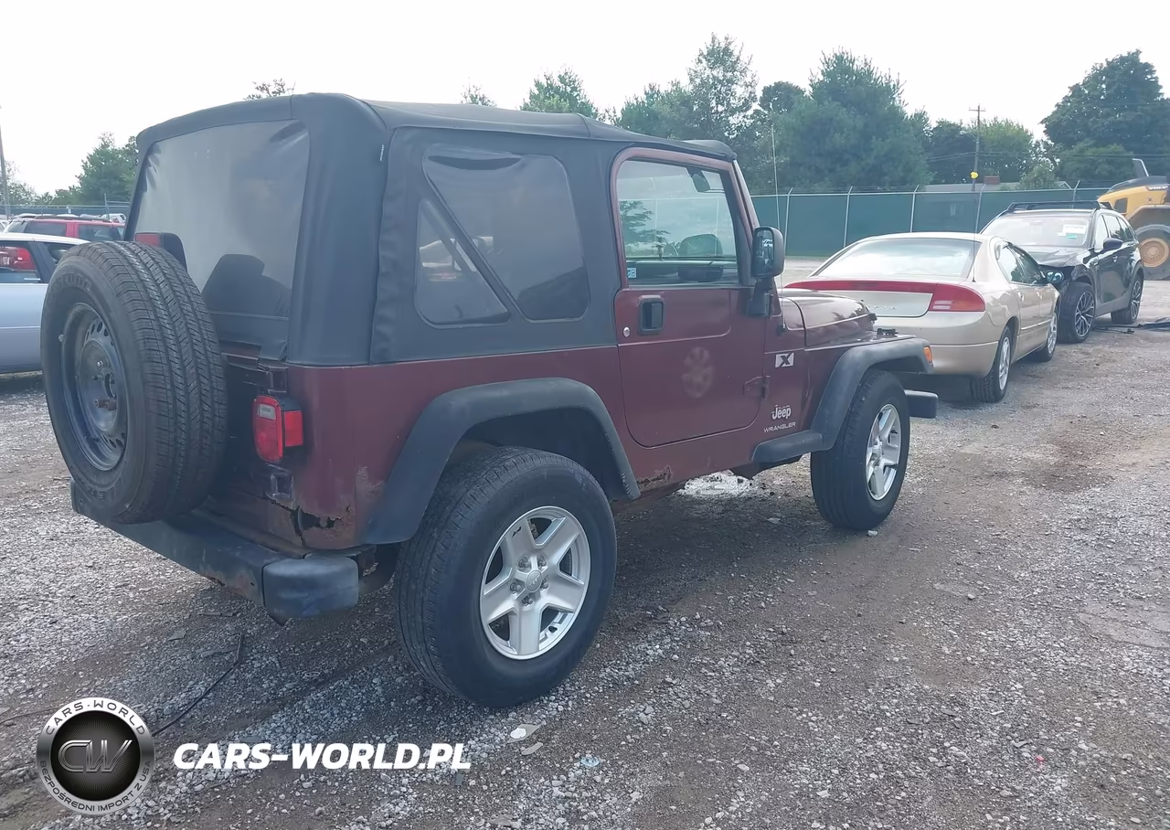 2004 Jeep Wrangler X VIN:1J4FA39SX4P709636 - 4