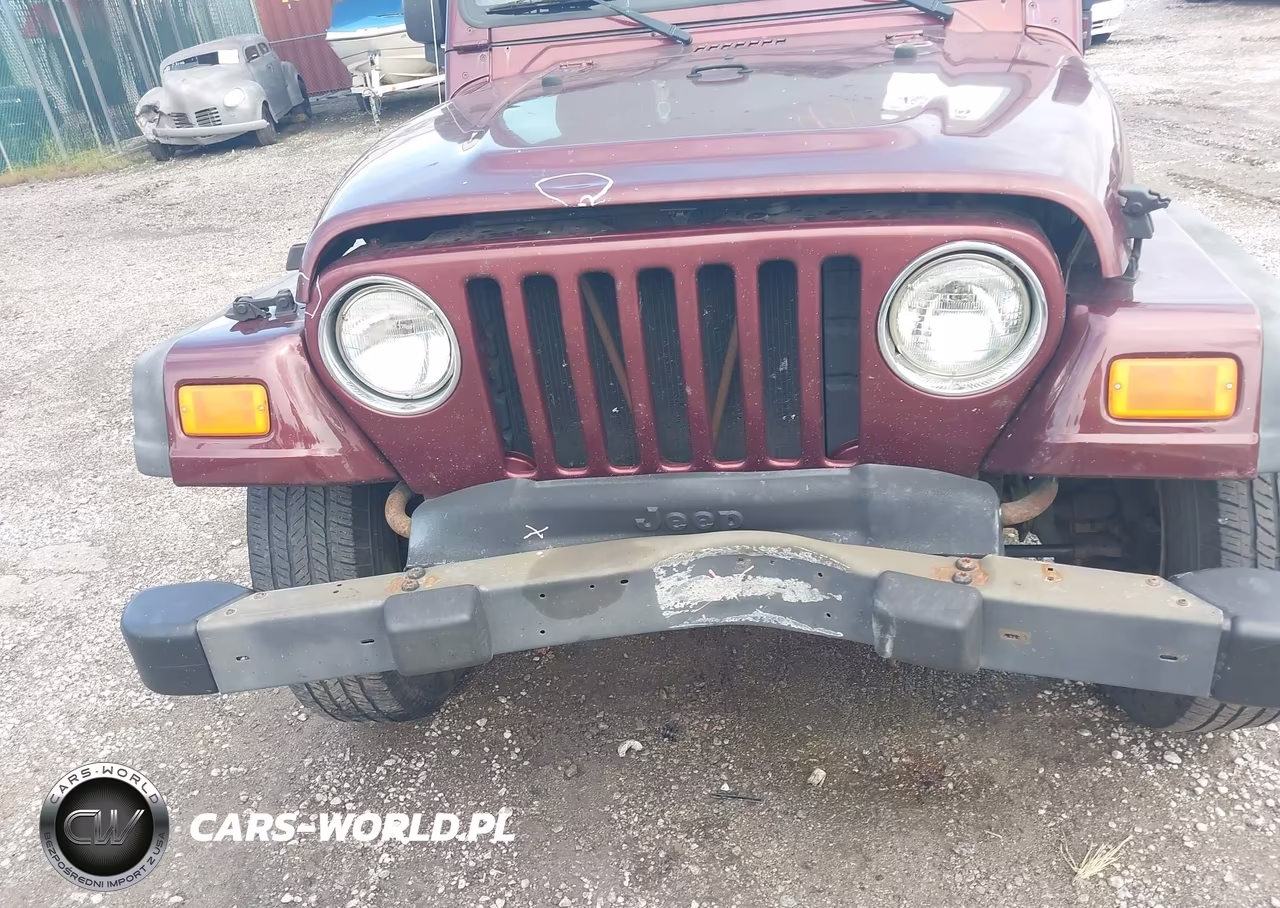 2004 Jeep Wrangler X VIN:1J4FA39SX4P709636 - 6