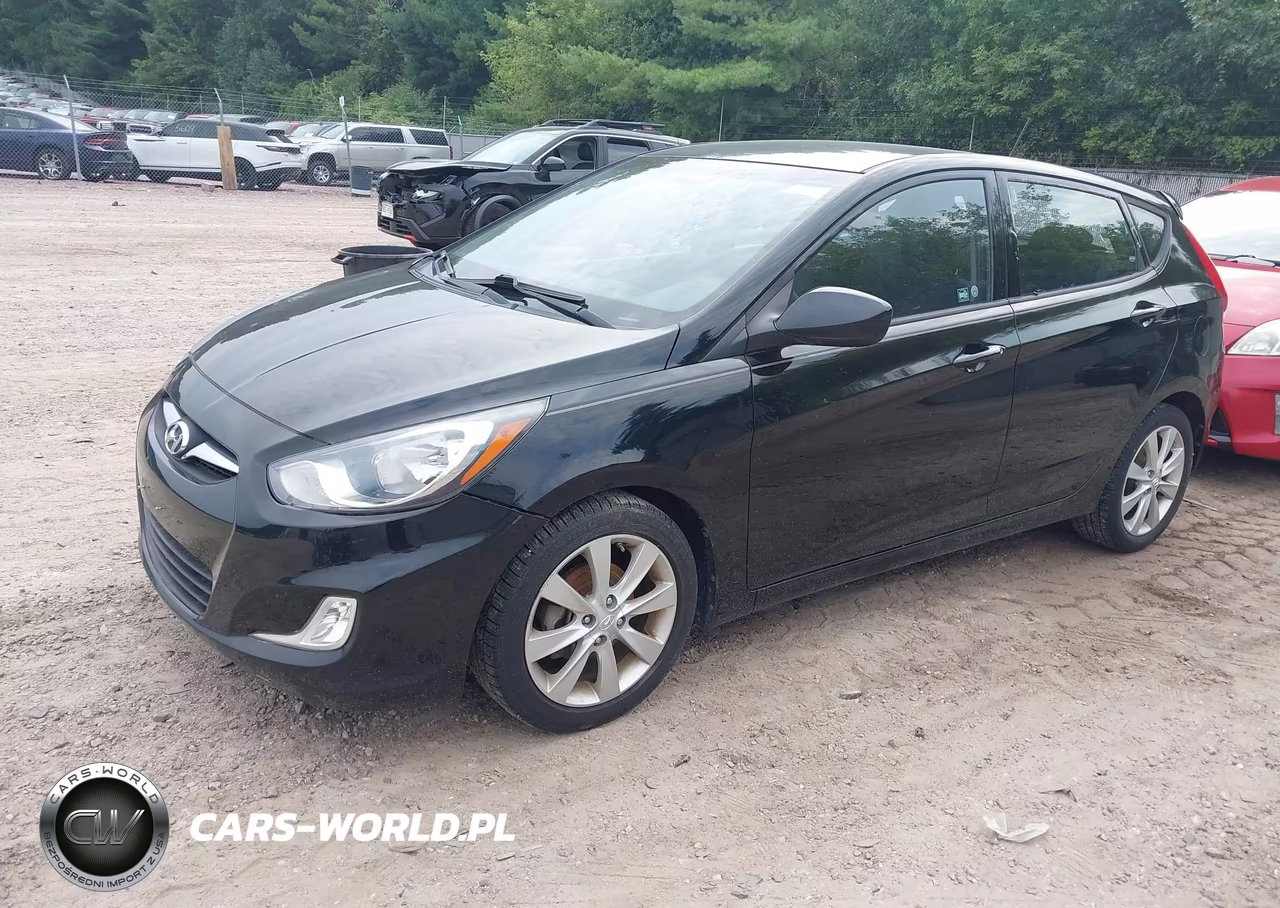 2012 Hyundai Accent Se VIN:KMHCU5AE4CU035013 - 2