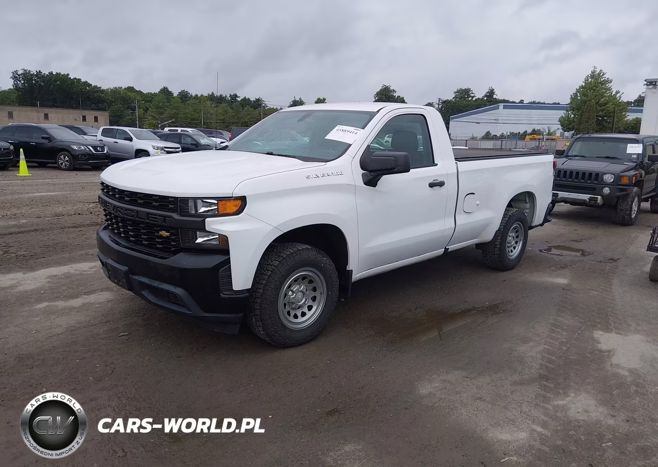 2019 Chevrolet Silverado 1500 Work Truck VIN:3GCNWAEH8KG242896 - 2