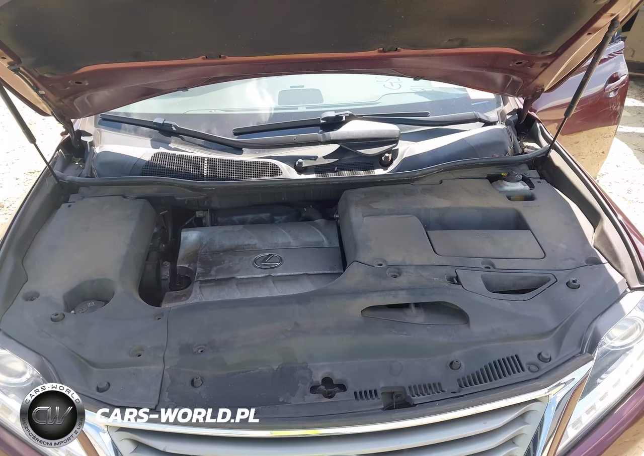 2014 Lexus Rx 350 VIN:JTJZK1BA4E2419281 - 10