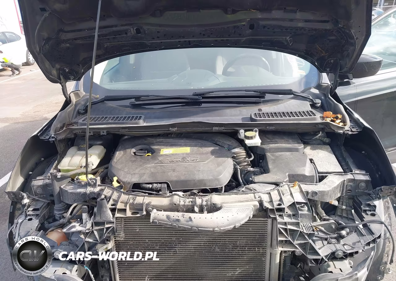 2013 Ford Escape Se VIN:1FMCU0GX1DUD09216 - 10