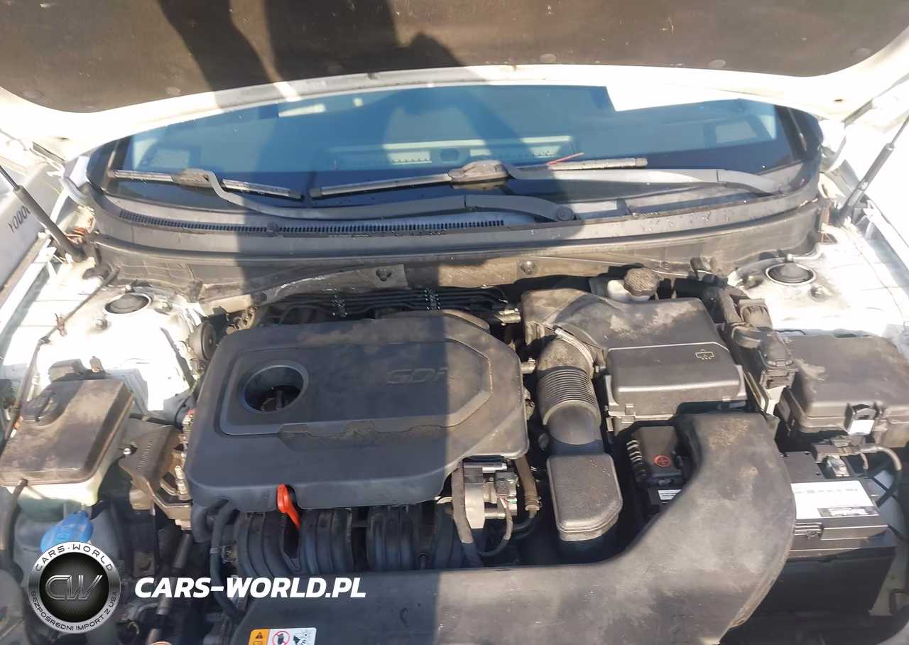 2015 Hyundai Sonata Se VIN:5NPE24AF9FH042446 - 10